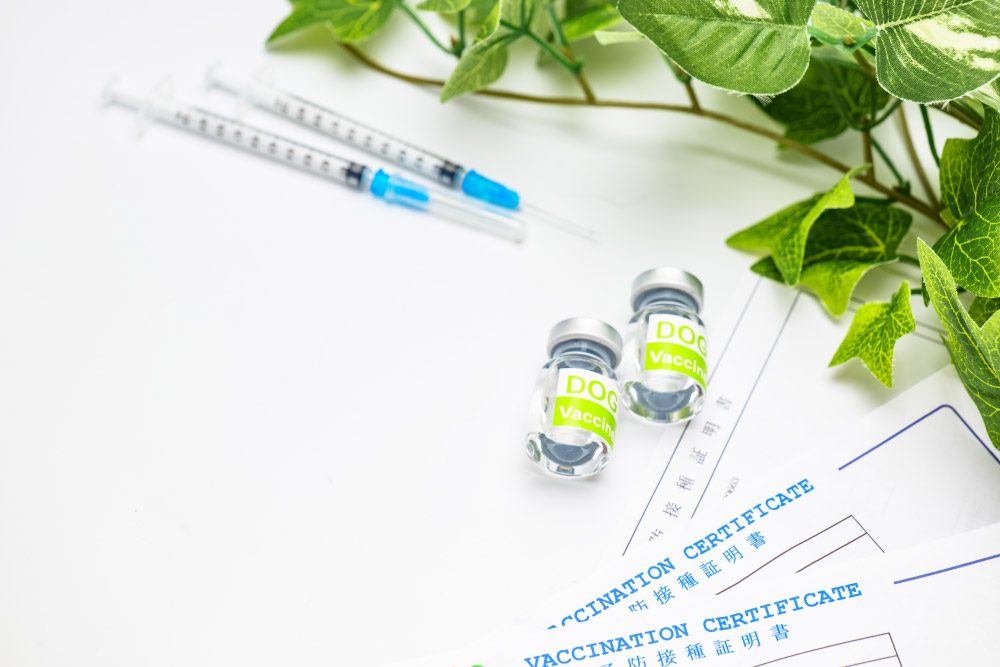 ワクチン接種証明書について